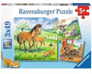 Puzzle 3x49 Czas przytulania. Wydawca: Ravensburger. Dadada.pl Opakowanie Puzzle 3x49 Czas przytulania