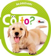 Okładka książki SŁODZIAKI CO TO