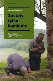 Okładka książki Zostały tylko kamienie DL