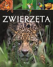 Okładka książki ZWIERZĘTA