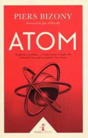 Atom. Autor: Bizony Piers. Dadada.pl Okładka książki Atom