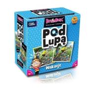 Opakowanie BrainBox Pod lupą Wakacje ALBI