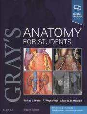 Okładka książki Gray's Anatomy for Students 4th Edition