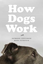 How Dogs Work. Autor: Coppinger Raymond. Dadada.pl Okładka książki How Dogs Work