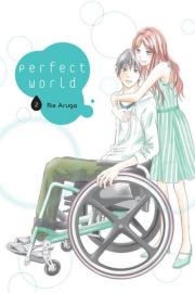 Okładka książki Perfect World #02