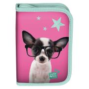 Piórnik z wyposażeniem Studio Pets PTD-001 PASO. Wydawca: Paso. Dadada.pl Opakowanie Piórnik z wyposażeniem Studio Pets PTD-001 PASO