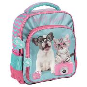 Plecak szkolny Studio Pets PTK-337 PASO. Wydawca: Paso. Dadada.pl Opakowanie Plecak szkolny Studio Pets PTK-337 PASO