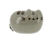 Opakowanie Pusheen Skarbonka