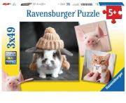 Puzzle 3x49 Śmieszne portrety zwierząt. Wydawca: Ravensburger. Dadada.pl Opakowanie Puzzle 3x49 Śmieszne portrety zwierząt