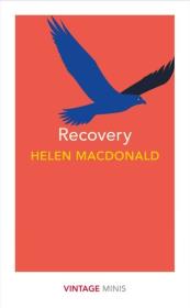Recovery. Autor: Macdonald Helen. Dadada.pl Okładka książki Recovery