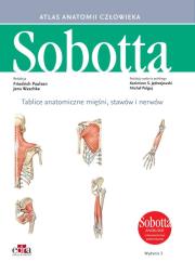 Tablice anatomiczne mięśni, stawów i nerwów. Angielskie mianownictwo. Autor: Paulsen F., Waschke J.. Dadada.pl Okładka książki Tablice anatomiczne mięśni, stawów i nerwów. Angielskie mianownictwo