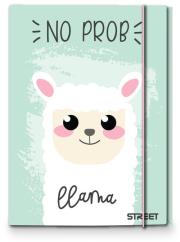 Teczka A4 z gumką Pink Street. Wydawca: Eurocom. Dadada.pl Opakowanie Teczka A4 z gumką Pink Street