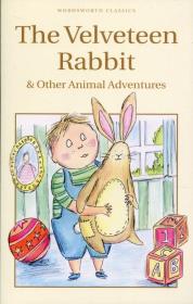 Velveteen Rabbit. Wydawca: Wordsworth. Dadada.pl Opakowanie Velveteen Rabbit