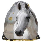 Worek na buty Horse PP19H-712 PASO. Wydawca: Paso. Dadada.pl Opakowanie Worek na buty Horse PP19H-712 PASO