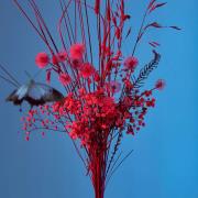 Opakowanie Z dolnej półki