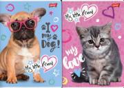 Opakowanie Zeszyt A5 16 kartek w kratkę My Little Pony 10 sztuk