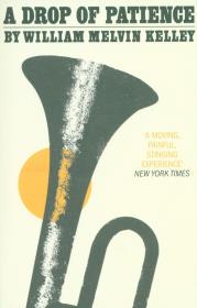 A Drop Of Patience. Autor: Kelley William Melvin. Dadada.pl Okładka książki A Drop Of Patience