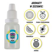 Opakowanie AROMATY 15ML ZESTAW NR 2 - 5 SZTUK (MARAKUJA/PIANKA TRUSKAWKOWA/POMARAŃCZA/WANILIA/ANANAS)