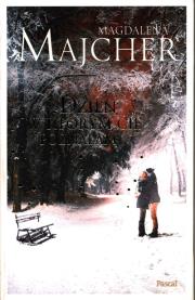 Okładka książki Dzień, w którym Cię poznałam