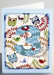 Opakowanie Karnet PM793 wycinany + koperta Urodziny 3 sowy