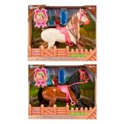 Opakowanie Konik z akcesoriami