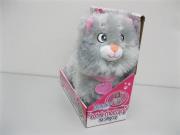 Opakowanie Kotek chodzący na smyczy szary Natalia