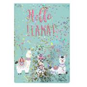 Opakowanie NOTES A5 Z CEKINAMI PASO LAMA PP19LA-3667