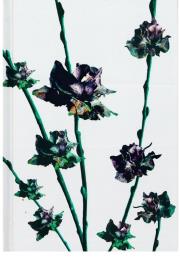 Opakowanie Notes Gee Willow Roses linia NARCISSUS