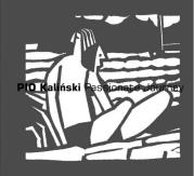 Passionate Journey. Autor: Kaliński Pio. Dadada.pl Okładka książki Passionate Journey