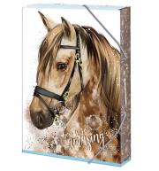 Opakowanie Teczka szkolna A5 You are amazing ARGUS