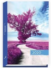 Opakowanie Terminarz 2020 B6 Kolorowy drzewo