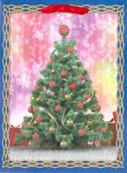 Opakowanie Torebka prezentowa BN 0186-01