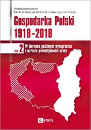 Okładka książki GOSPODARKA POLSKI 1918-2018 W KIERUNKU GODZIWYCH WYNAGRODZEŃ I WZROSTU PRODUKTYWNOŚCI PRACY TOM 2