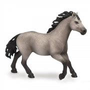 Opakowanie Ogier rasy Quarter