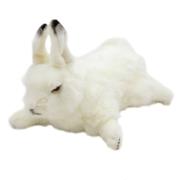 Opakowanie Pacynka Zając arktyczny