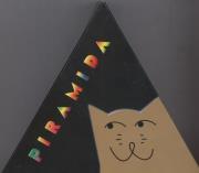 Opakowanie Piramida Ortograficzna P2