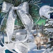 Pocztówka 3D Kokarda Boże Narodzenie. Wydawca: Worth Keeping. Dadada.pl Opakowanie Pocztówka 3D Kokarda Boże Narodzenie