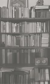 SZELEST WTÓRY. Autor: Tomaszewski Andrzej. Dadada.pl Okładka książki SZELEST WTÓRY