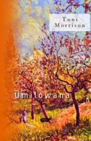 Umiłowana. Autor: Morrison Toni. Dadada.pl Okładka książki Umiłowana