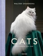 Walter Chandoha Cats. Autor: Chandoha Walter. Dadada.pl Okładka książki Walter Chandoha Cats