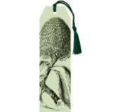 Opakowanie Zakładka 55 ze wstążką Wiciokrzew czerwony