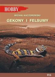 Gekony i felsumy. Autor: Kaczorowski Michał. Dadada.pl Okładka książki Gekony i felsumy