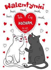 Okładka książki KARNET B6 WALENTYNKI KOTY Z MAGNESEM NA LODÓWKĘ