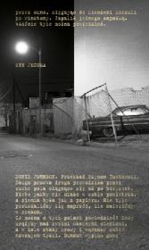 Okładka książki Syn Jezusa