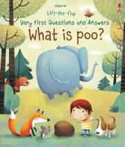 VERY FIRST LTF Q&A WHAT IS POO. Autor: Katie Daynes. Dadada.pl Okładka książki VERY FIRST LTF Q&A WHAT IS POO