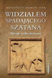 Okładka książki Widziałem spadającego szatana