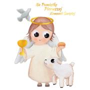 Okładka książki Karnet B6 Komunia Anioł