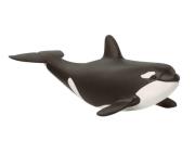 Opakowanie Orka młoda