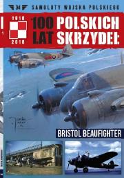 Opakowanie 100 lat polskich skrzydeł Tom 34
