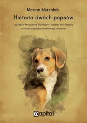 Okładka książki Historia dwóch popsów